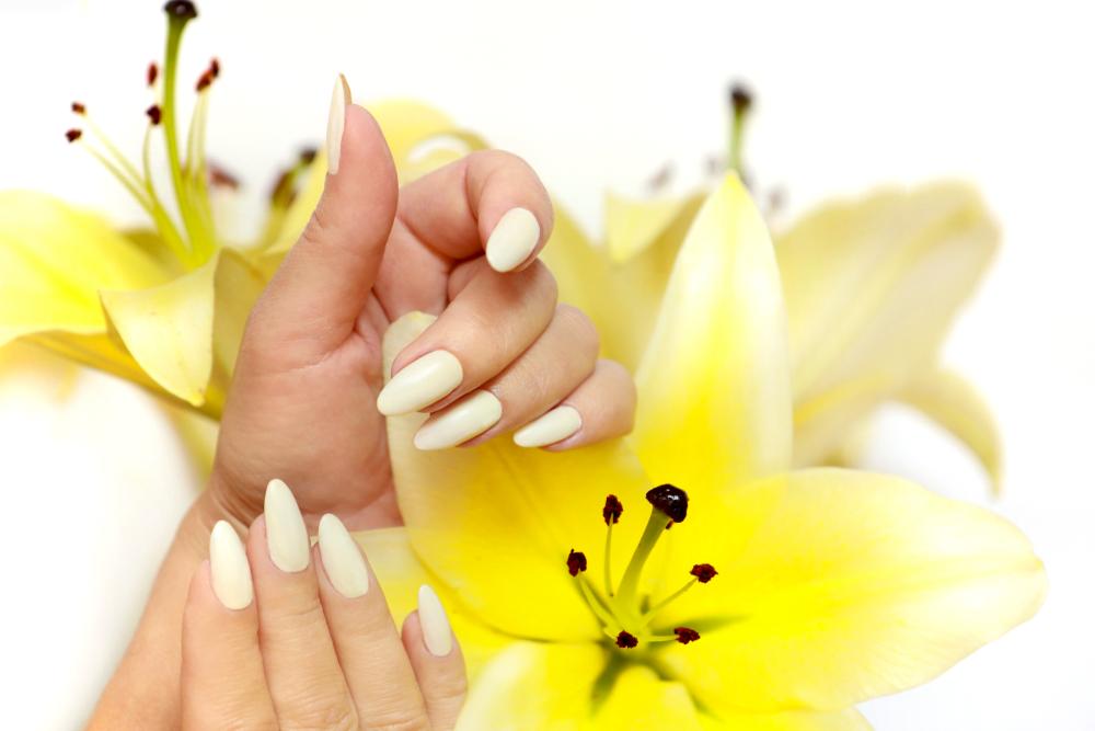 shutterstock_1522081040